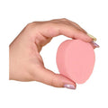 sponge in hand to show size