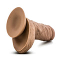 Suction Cup Base
