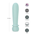 Teal bullet with size measurement and feature icons