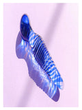 Sexus Glass 17cm Wand Blue 3