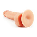Close up Of Suction Base
