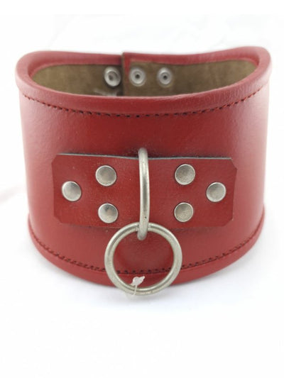 Angelina red posture collar 1