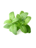 Wet Stuff Peppermint Tingle