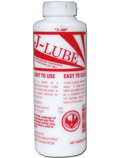 J - LUBE - Randy's Adult World - 1